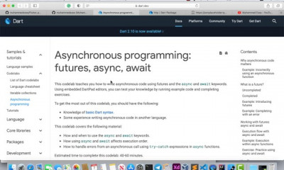 فلاتر futures async await Flutter