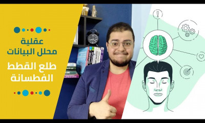 محلل البيانات